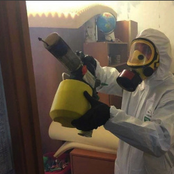 Уничтожение клопов в квартире. Абакан